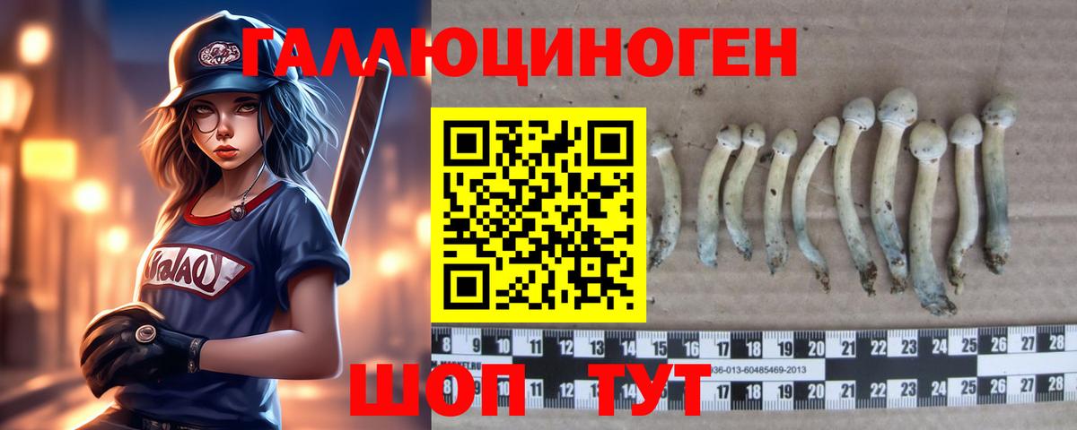 Галлюциногенные грибы мухоморы  Вход с VPN  Лыткарино  Галлюциногенные грибы Cubensis 